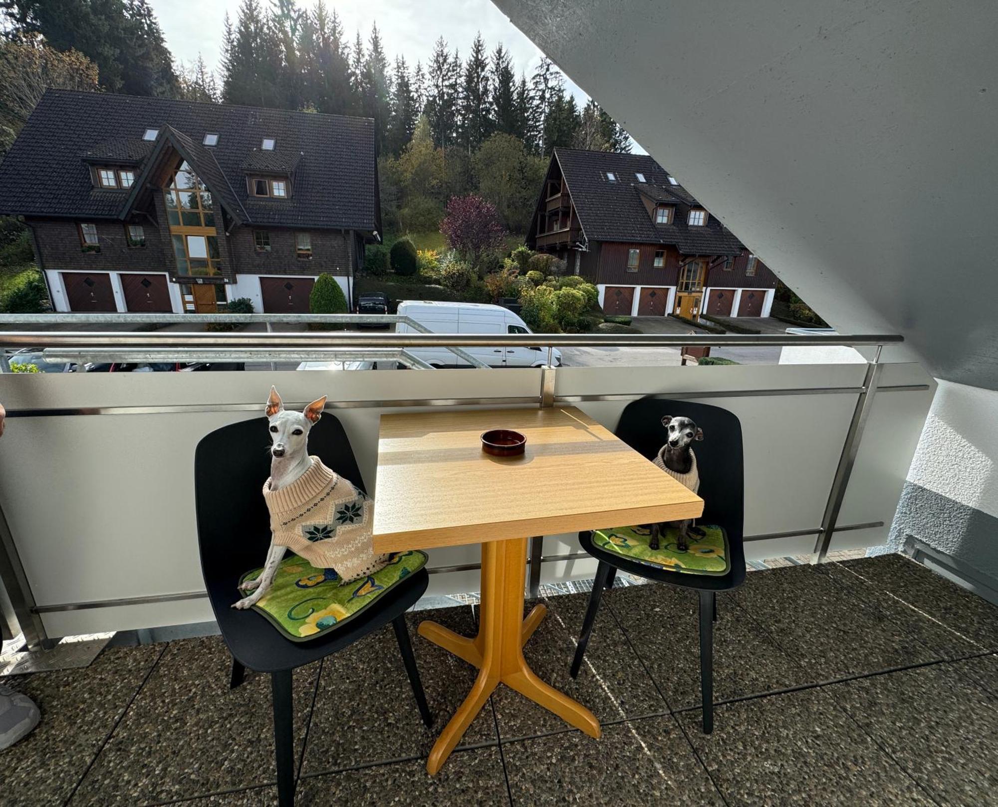 Frei 4 Compact Hinterzarten